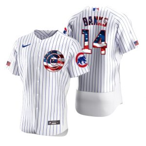 Fantastic Chicago Cubs #14 Ernie Banks Men's Nike White Fluttering USA Flag Limited Edition Authentic MLB Jersey